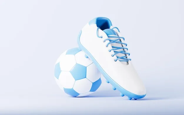 美洲杯 球迷狂欢